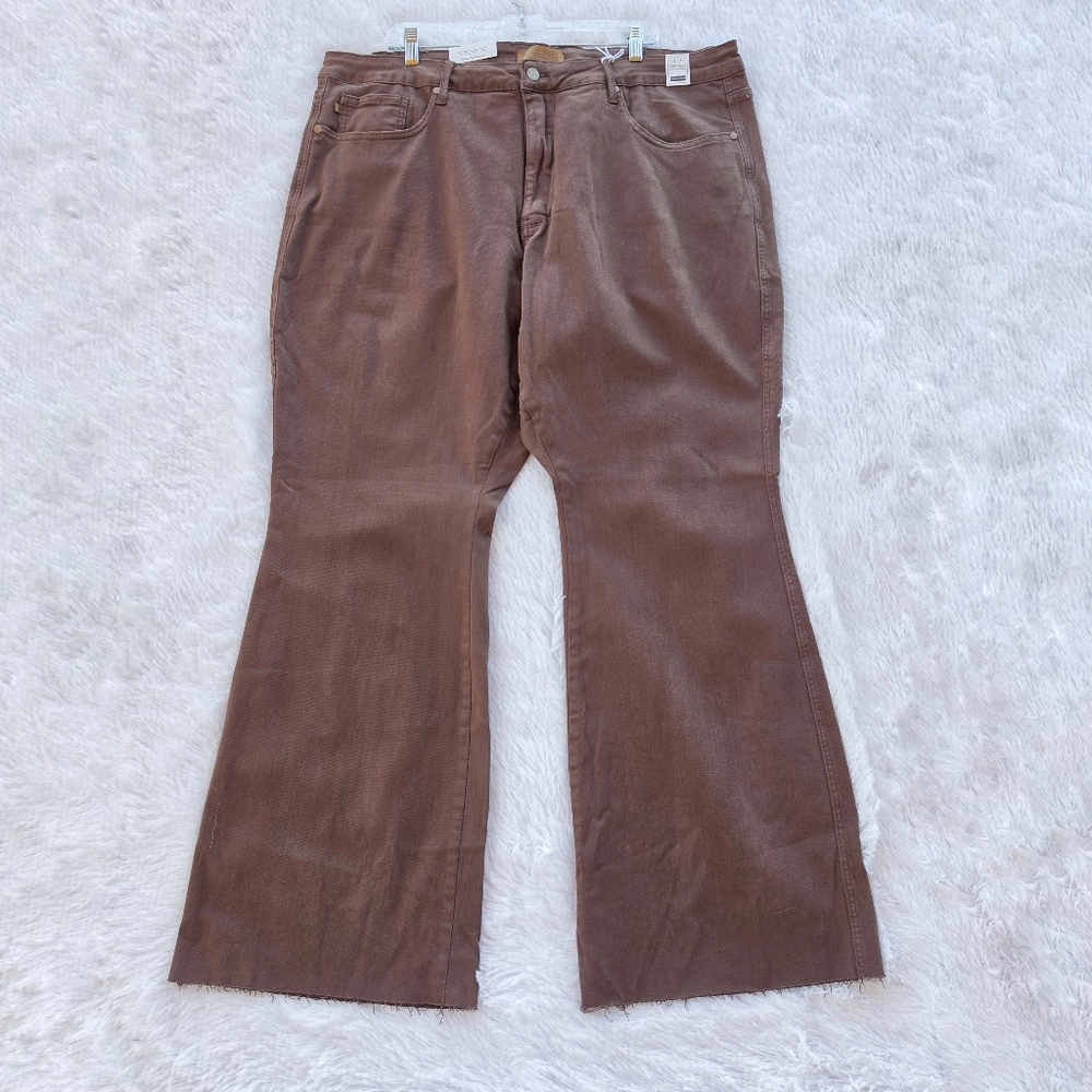 Judy Blue Stretch‎ Plus Size Espresso Flare Jeans